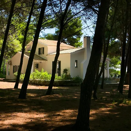 Noctiluca House Casa vacanze