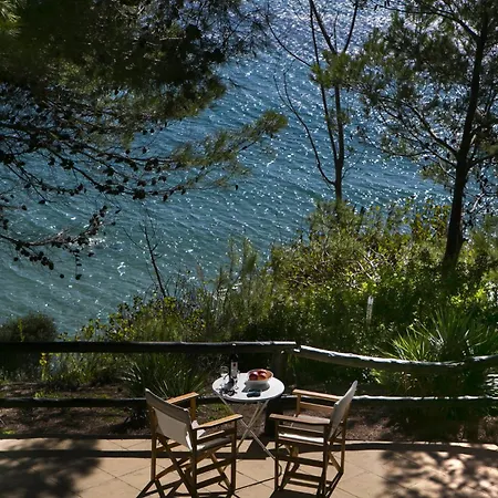 Noctiluca House *