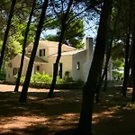 Noctiluca House Hébergement de vacances